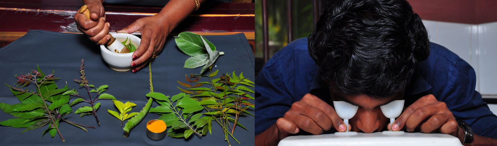 Kalpaviruksha Ayurvedic Resort